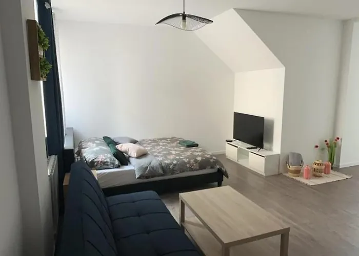 La Colmarienne 公寓 *