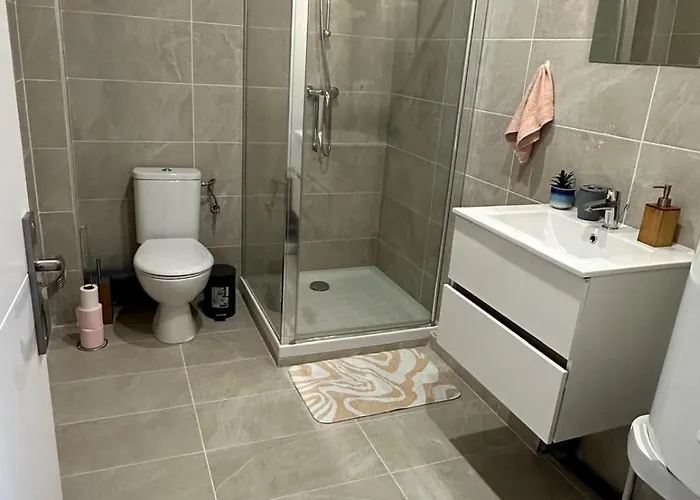 La Colmarienne 公寓